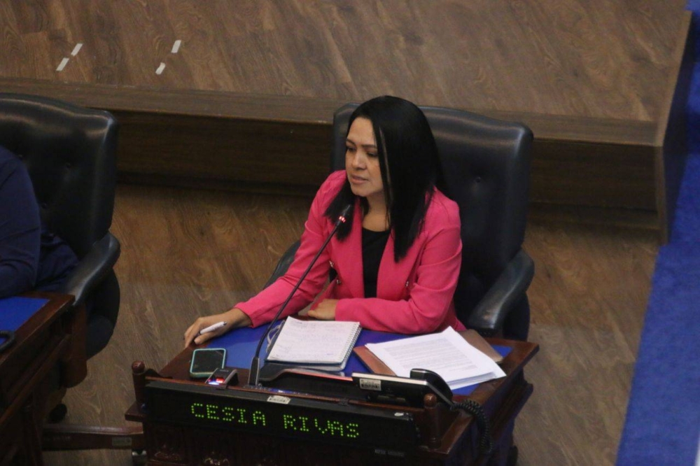 Cesia Rivas, diputada suplente de Claudia Ortiz. / Lisbeth Ayala.