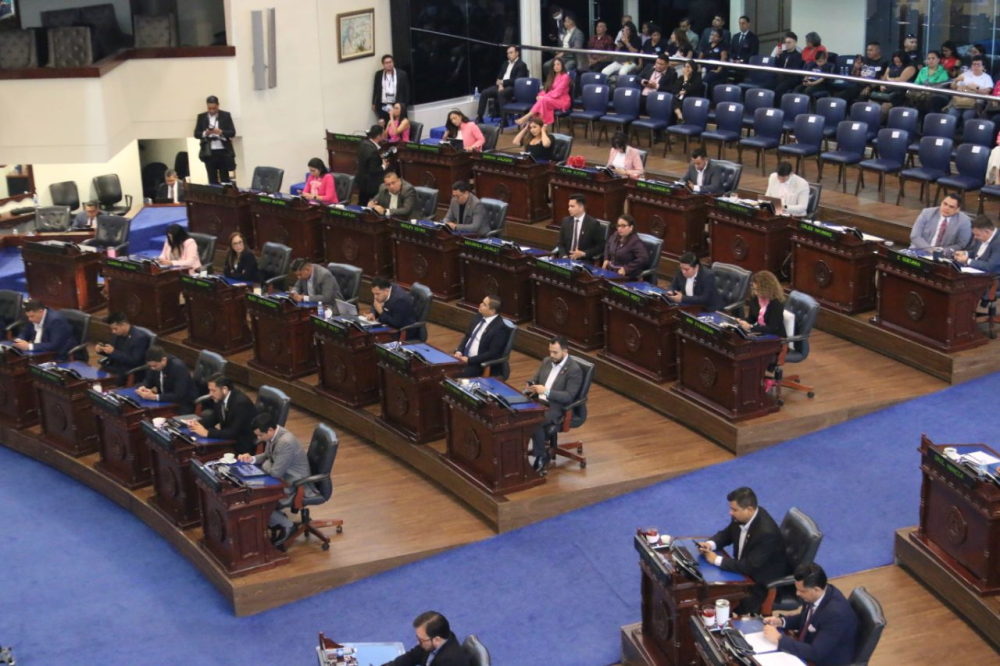 La Asamblea Legislativa celebró este miércoles su sesión plenaria 25. / Lisbeth Ayala.,image_description: