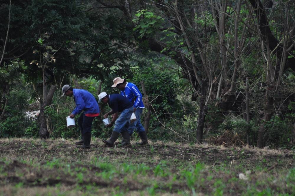 Los agricultores y las personas dedicadas a la construcción fueron las profesiones a las que los retornados más se dedican. /DEM,image_description: