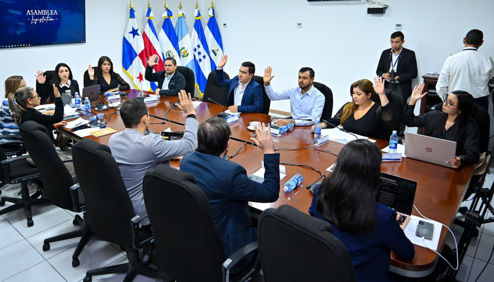 La Comisión de Tecnología, Turismo e Inversión hizo un cambio de fondo al proyecto de Ley de Energía Nuclear. / AsambleaSV.,image_description: