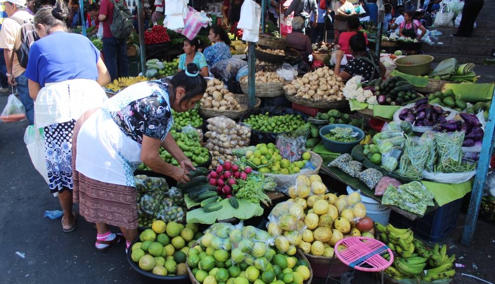 Según la Onec, la ración de verduras experimentó la mayor baja en septiembre de 2024. /DEM,image_description: