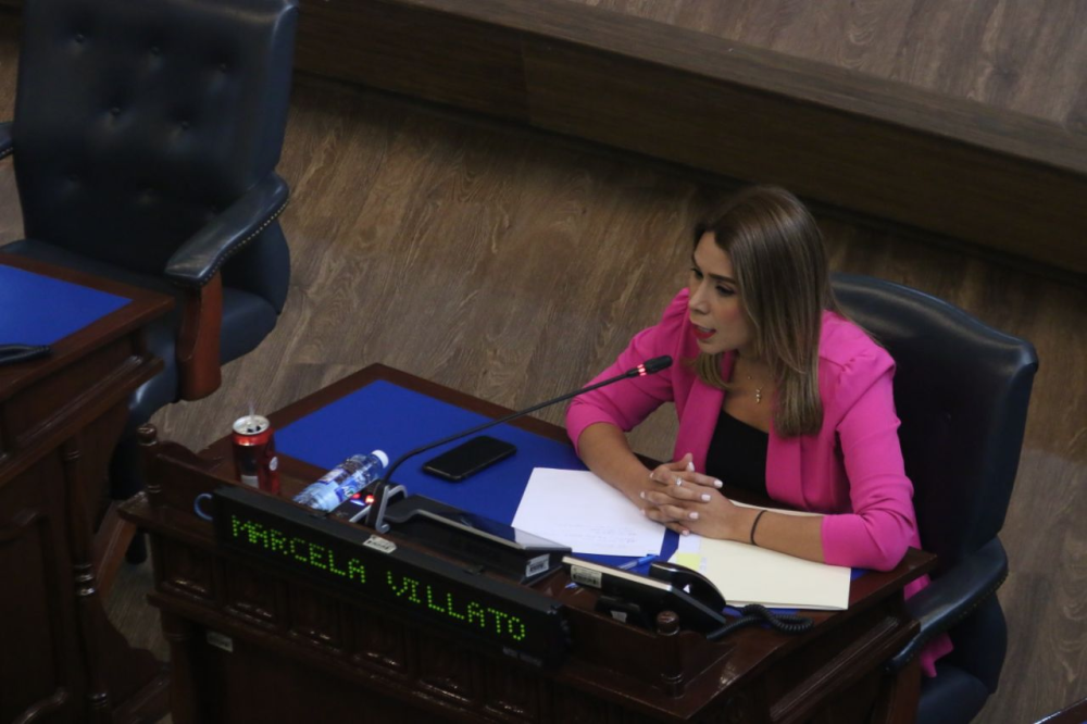 Marcela Villatoro, diputada de Arena, al inicio de la sesión plenaria 25. / Lisbeth Ayala.,image_description: