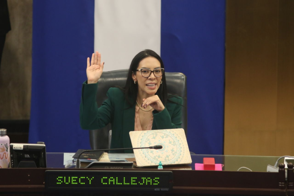 Suecy Callejas, diputada de Nuevas Ideas y vicepresidenta en la junta directiva de la Asamblea Legislativa. / Lisbeth Ayala.,image_description: