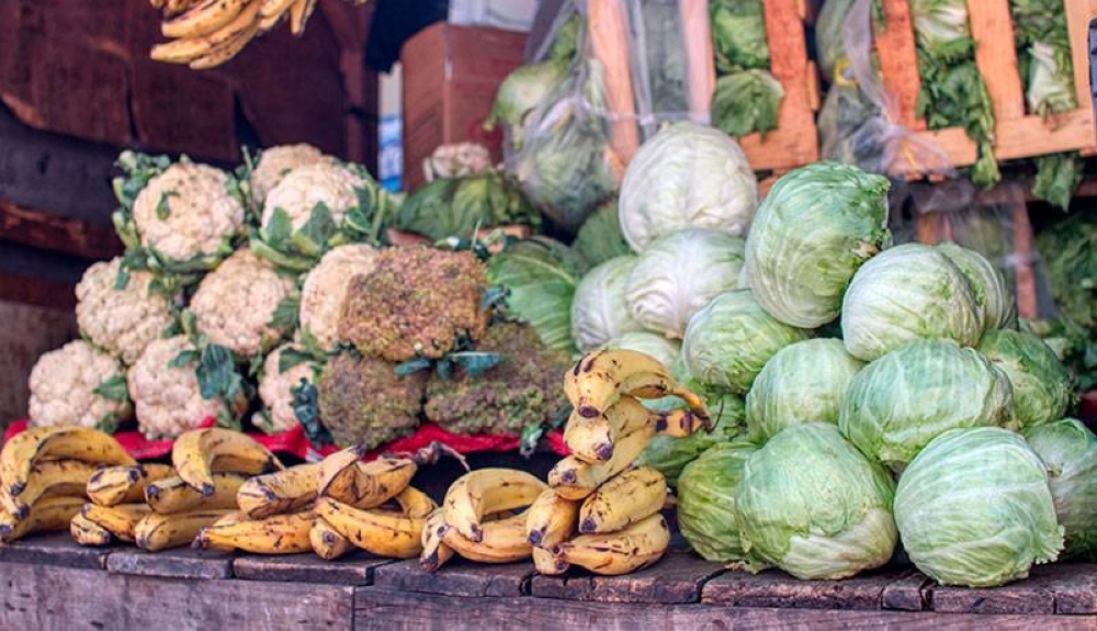 El Salvador importa hortalizas y frutas principalmente de Guatemala y Honduras. /DEM,image_description: