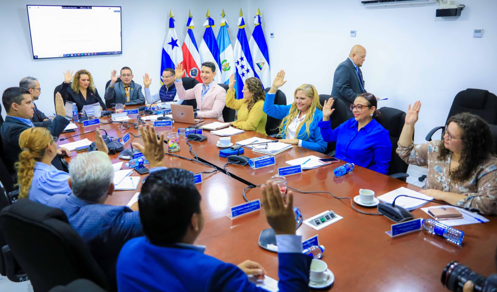 La Comisión de Salvadoreños en el Exterior, Legislación y Gobierno de la Asamblea Legislativa votó por la ratificación del acuerdo. La votación en pleno será el miércoles. / AsambleaSV.,image_description: