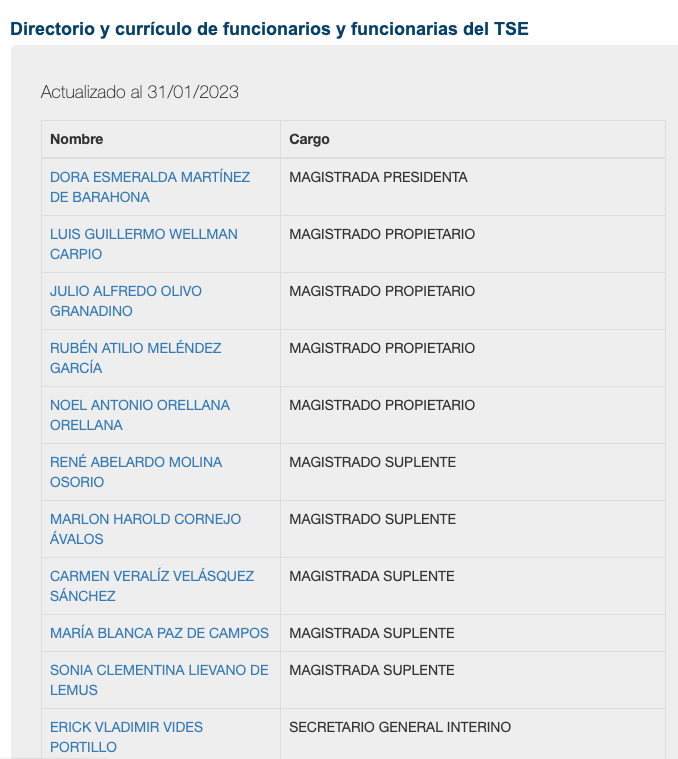 Los curículos publicados por el TSE son los de funcionarios del período 2019-2024. / Captura de pantalla del portal de transparencia. 