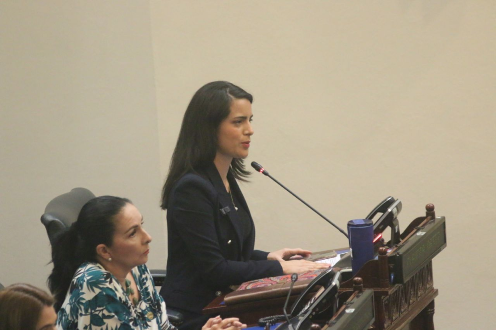 Claudia Ortiz, diputada de Vamos. / Lisbeth Ayala.