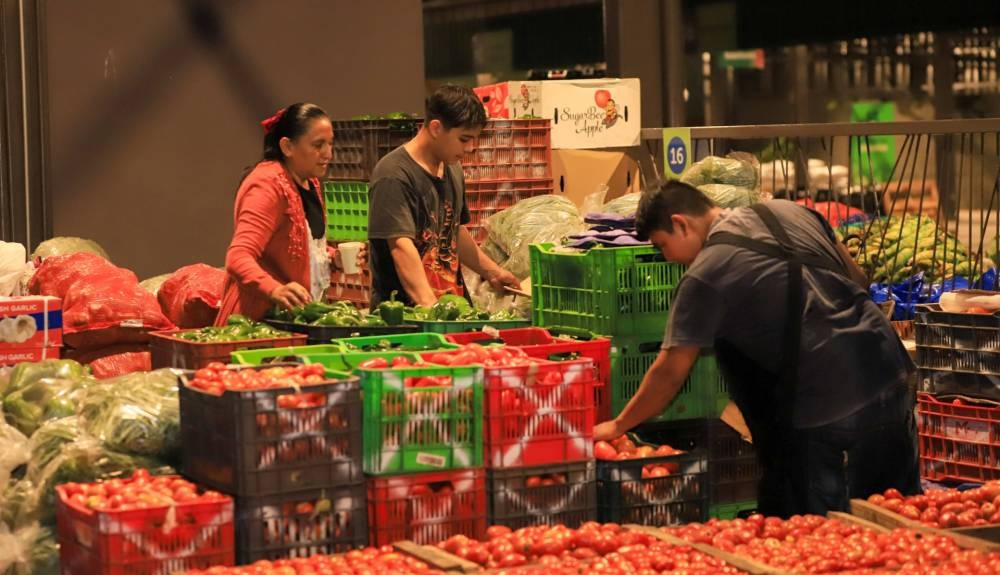 La primera central de abasto inició operaciones el 30 de octubre, pero el gobierno prevé abrir más. /MAG,image_description: