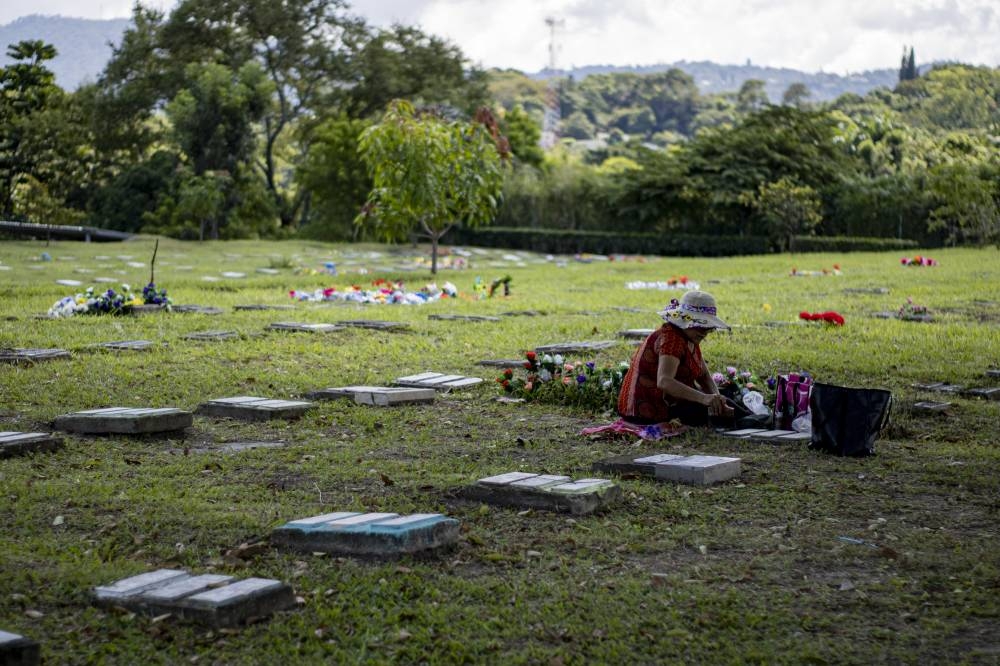 Esta semana, los capitalinos han llegado a enflorar a sus familiares al cementerio La Bermeja. En la fotografía uno de los nuevos sectores que ya no tiene tumbas de cemento. / Alexander Montes. 