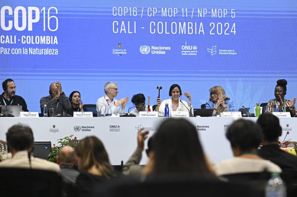 David Cooper, secretario ejecutivo de la COP16, y la ministra de Ambiente de Colombia y presidenta de la COP16, Susana Muhamad, asisten a la última sesión plenaria de la Cumbre COP16 en Cali. /AFP,image_description: