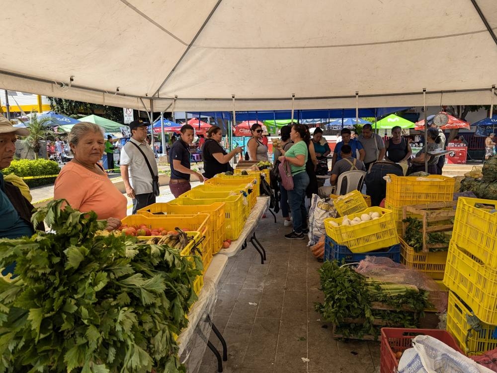 Sumado a los nuevos cinco agromercados, el Gobierno incorpora productos nuevos y frutas de temporada. /Juan Martínez,image_description: