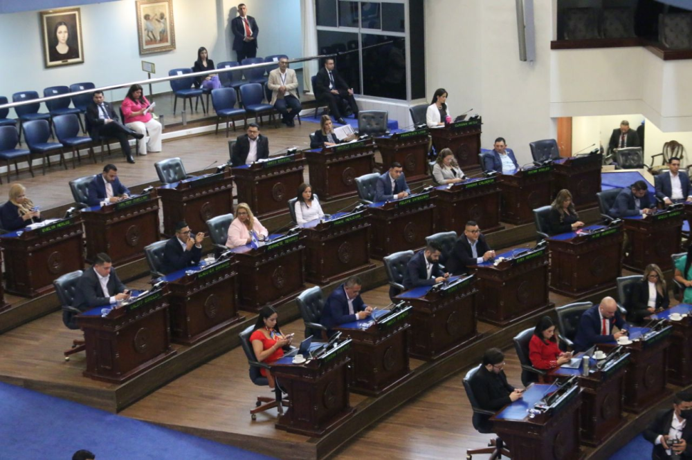 La Asamblea Legislativa cuenta con 60 diputados.,image_description: