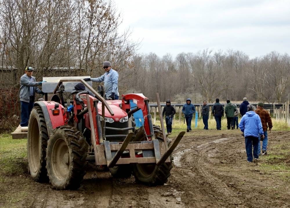 Un grupo de migrantes, entre ellos 11 salvadoreños, laboran en Baumann Farms, en Wausau, Wisconsin, Estados Unidos, donde hacen trabajos agrícolas. /,image_description: