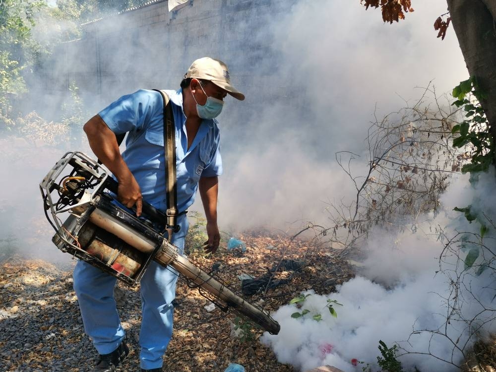 Las autoridades han hecho campañas de fumigación para combatir el dengue. / DEM.,image_description: