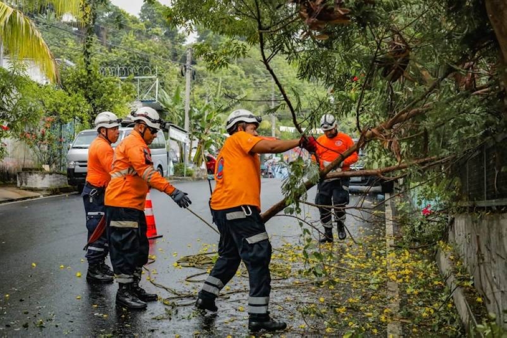 Personal de Protección Civil corta preventivamente un árbol que amenazaba con caer al oriente de la capital.,image_description: