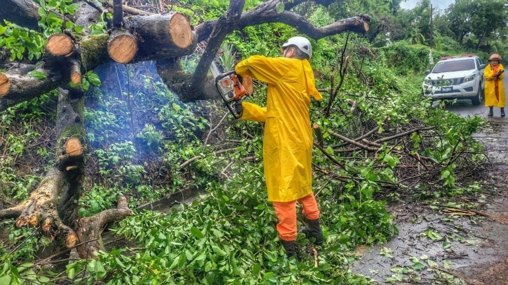 El Cuerpo de Bomberos retiró un árbol caído en San Rafael Obrajuelo, La Paz.,image_description: