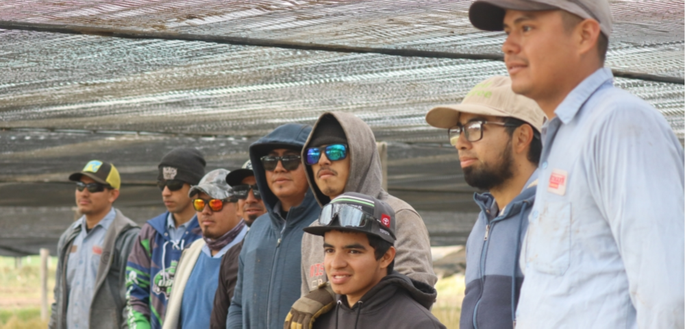 Un grupo de 11 salvadoreños terminó la semana anterior su jornada laboral de seis meses en la plantanción de Ginseng más grande de Estados Unidos de la empresa Baumann. / Iliana Cornejo,image_description: