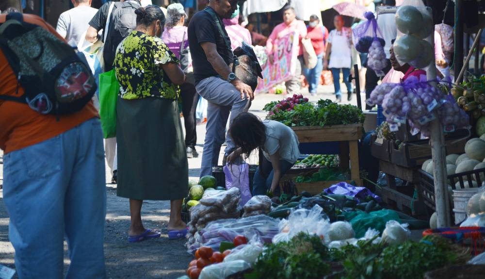 El trabajo infantil persiste en sectores como el agrícola, comercio, hoteles, restaurantes y contrucción. /Lisbeth Ayalan,image_description: