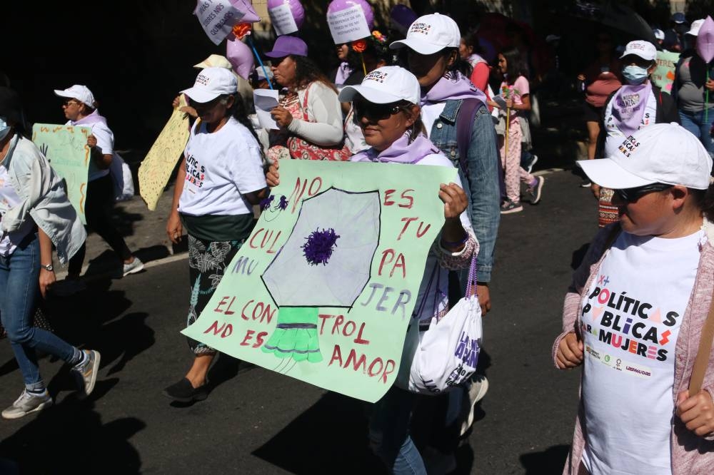 Marcha del 25 N, día internacional contra la Violencia hacia la Mujer. Lisbeth Ayala. 