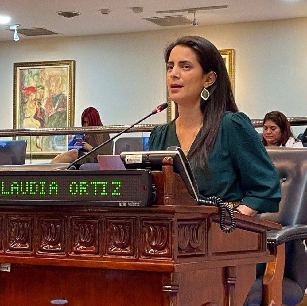 Diputada Claudia Ortiz, de Vamos, partido que tiene una curul. / Vamos.