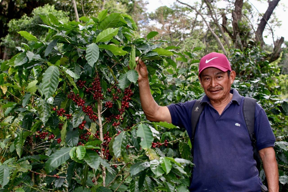 Don Erasmo Martínez es el encargado de cuidar finca San José.