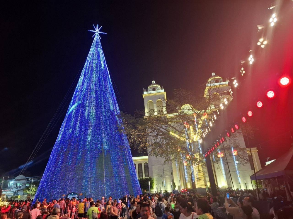 Un árbol gigante fue instalado en la plaza Gerardo Barrios frente a Catedral Metropolitana, en el Centro Histórico. / Iliana Cornejo. 