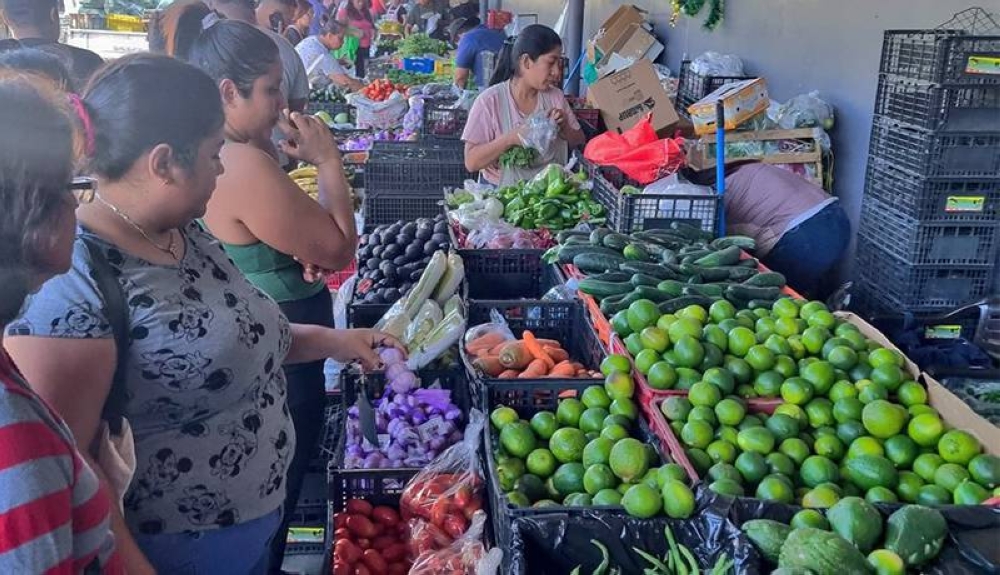 El gobierno atribuye la reducción de precios a los agromercados y la central de abastos en Soyapango. /MAG,image_description: