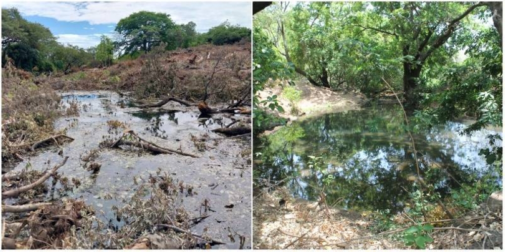 El antes y después de una laguneta en Condadillo tras la tala de árboles. / Cortesía / I. Cornejo. 