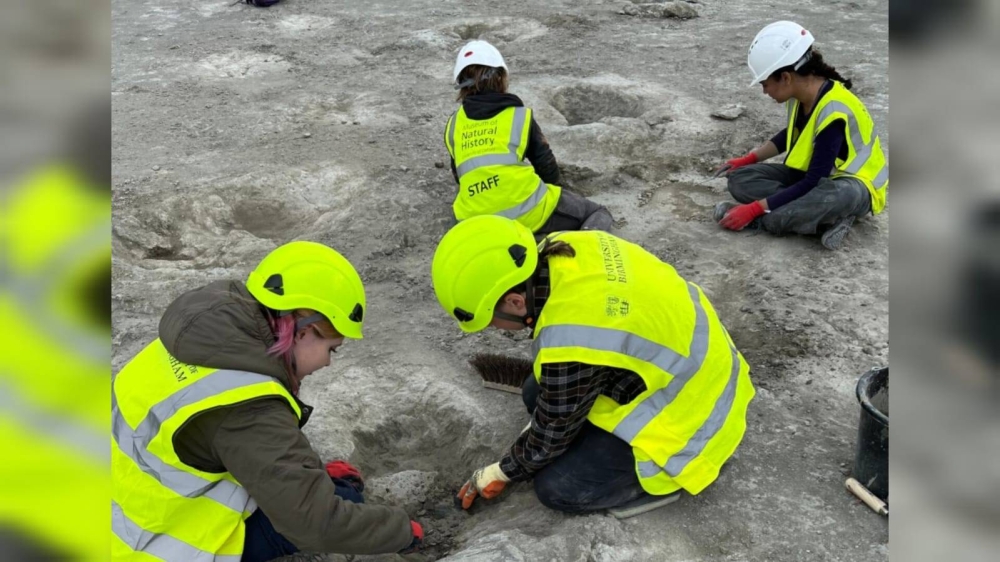 Casi 200 huellas de dinosaurios fueron descubiertas este verano en una cantera en Oxfordshire, un sitio excepcional y uno de los más grandes de todo el país, anunciaron las universidades de Oxford y Birmingham el jueves 2 de enero/ Foto AFP.,image_description: