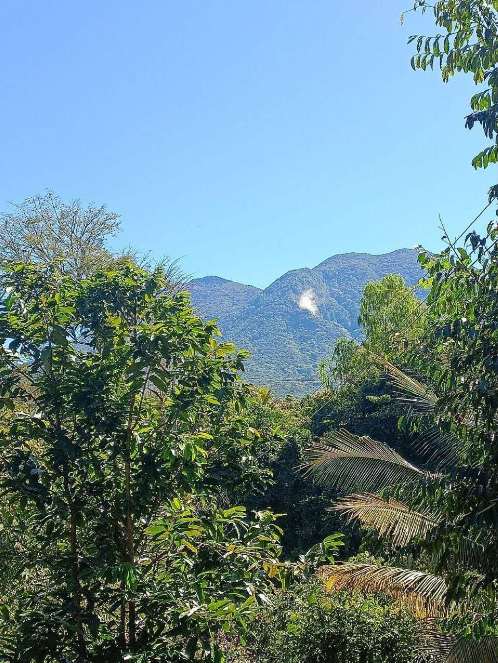 Debido al sismo se reportaron derrumbes en el volcán de San Vicente. /Cortesía
