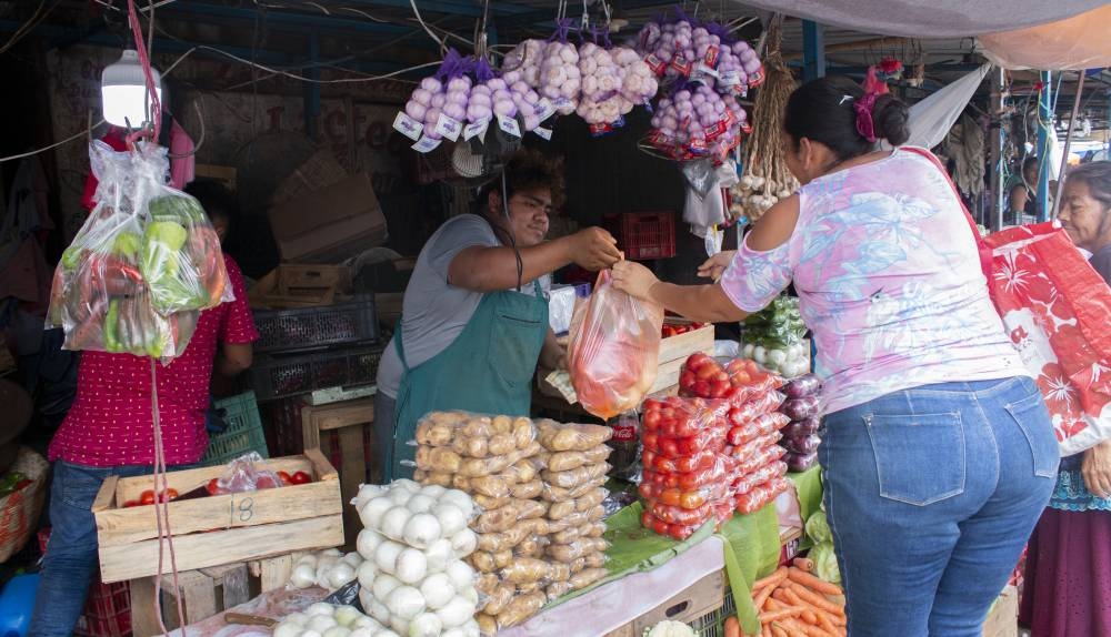 El sector de alimentos y bebidas no alcohólicas continúa en deflación, pero en diciembre los precios bajaron a un menor ritmo que en noviembre. /Lisbeth Ayala,image_description: