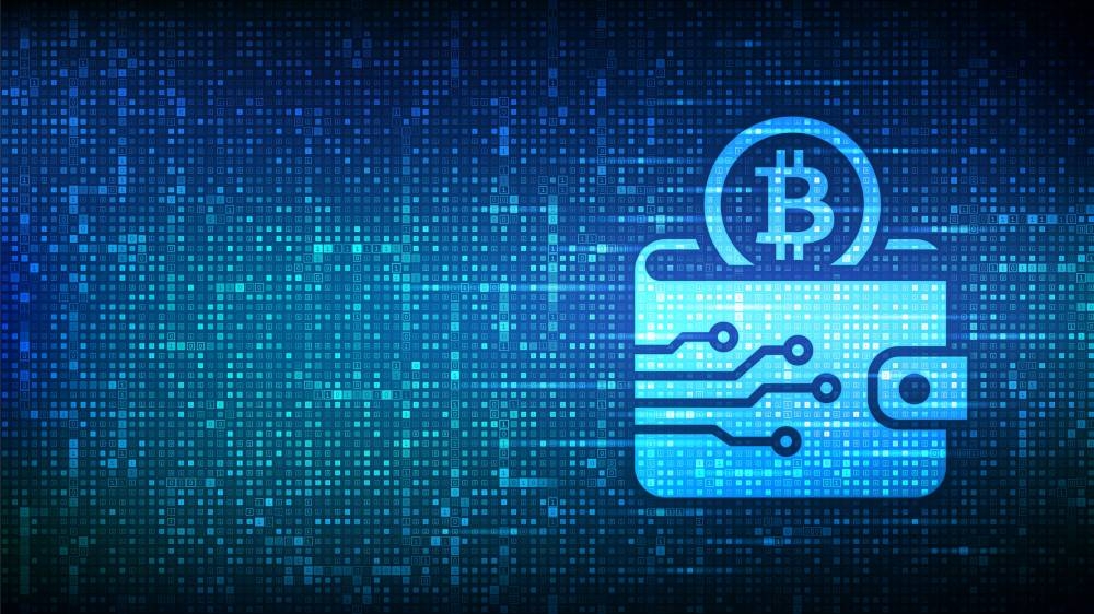 Wallet de criptomoneda, imagen de carácter ilustrativa/ Foto cortesía.,image_description:Crypto Wallet icon with Bitcoin made with binary code. Digital Cryptocurrency wallet. Mobile banking, online finance, blockchain banner. Binary code background with digits 1.0. Vector Illustration.