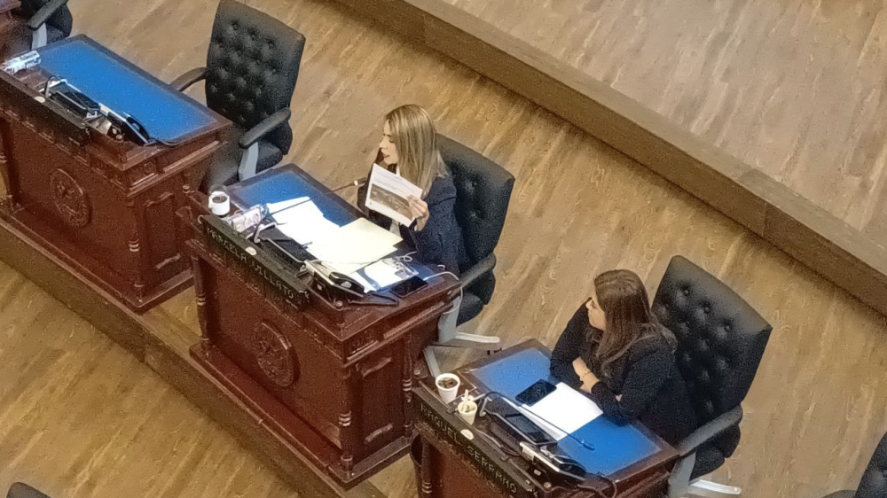 Marcela Villatoro, diputada de Arena, pidió derogar la Ley de Minería Metálica. / Jessica Guzmán.