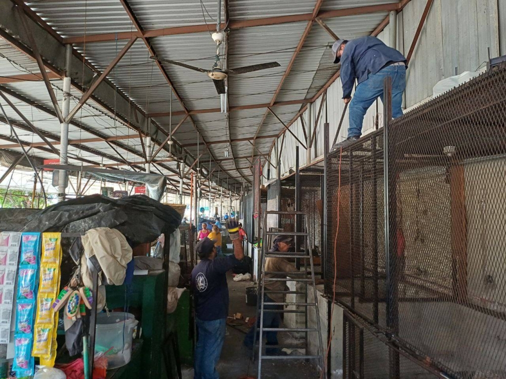 Trabajadores de la Alcaldía de San Salvador Centro llegaron a desmontar los puestos. / Jessica Guzmán. 